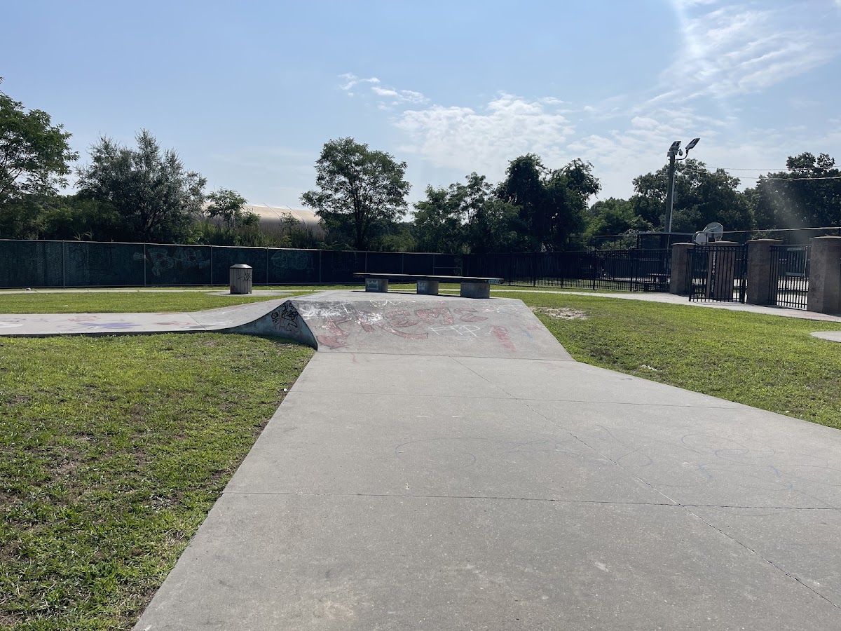 Brookhaven Skate Park