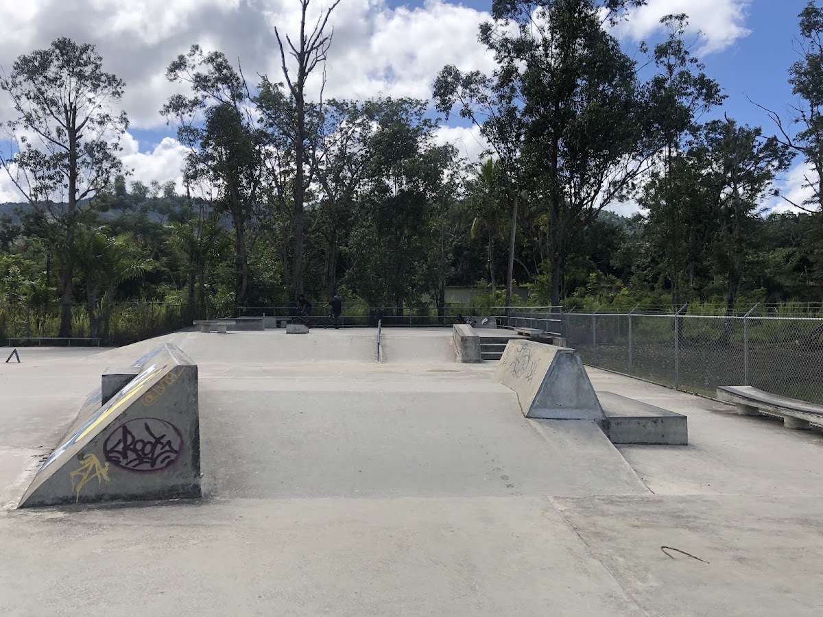 Cayey Skatepark