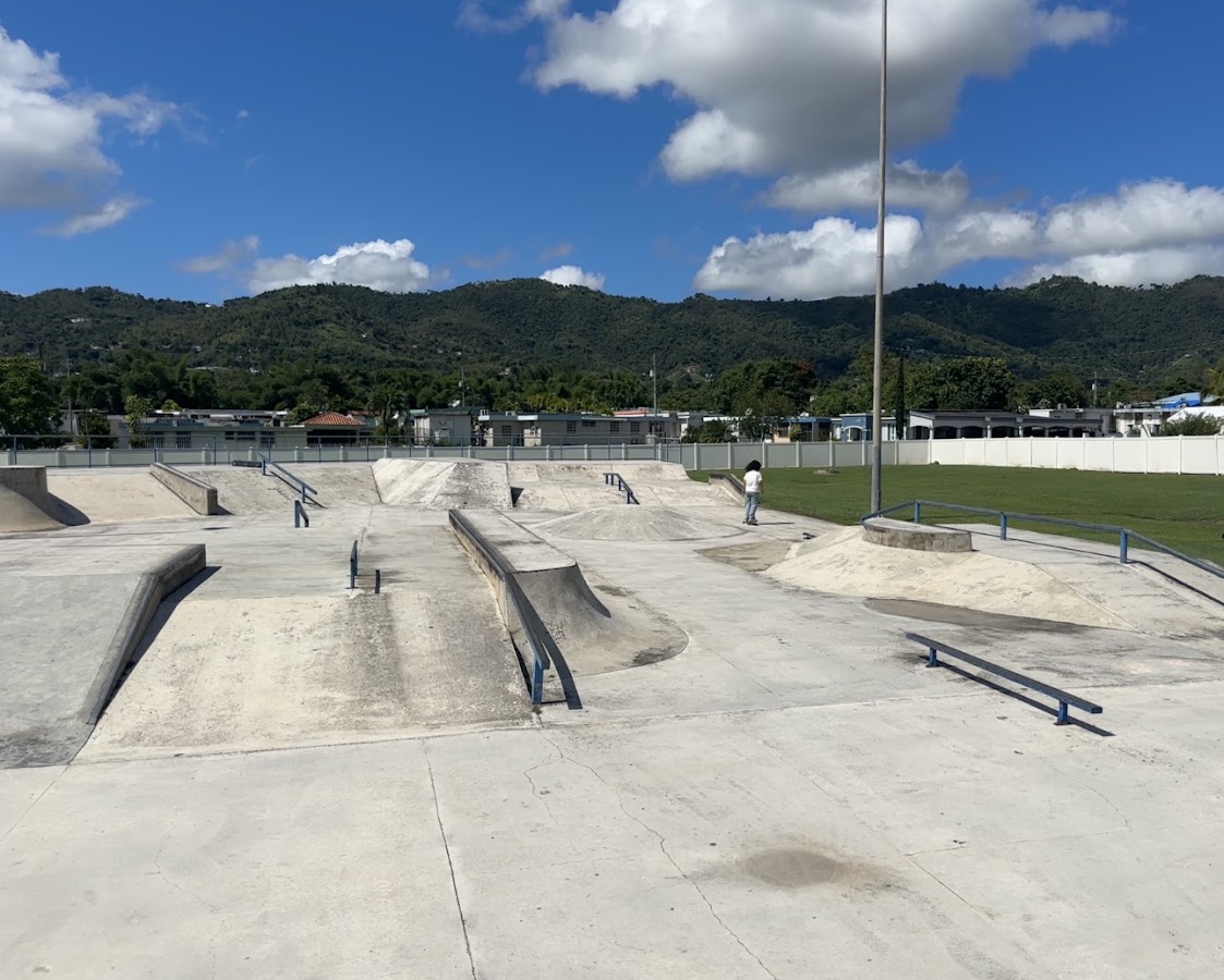 Gurabo Skate Park