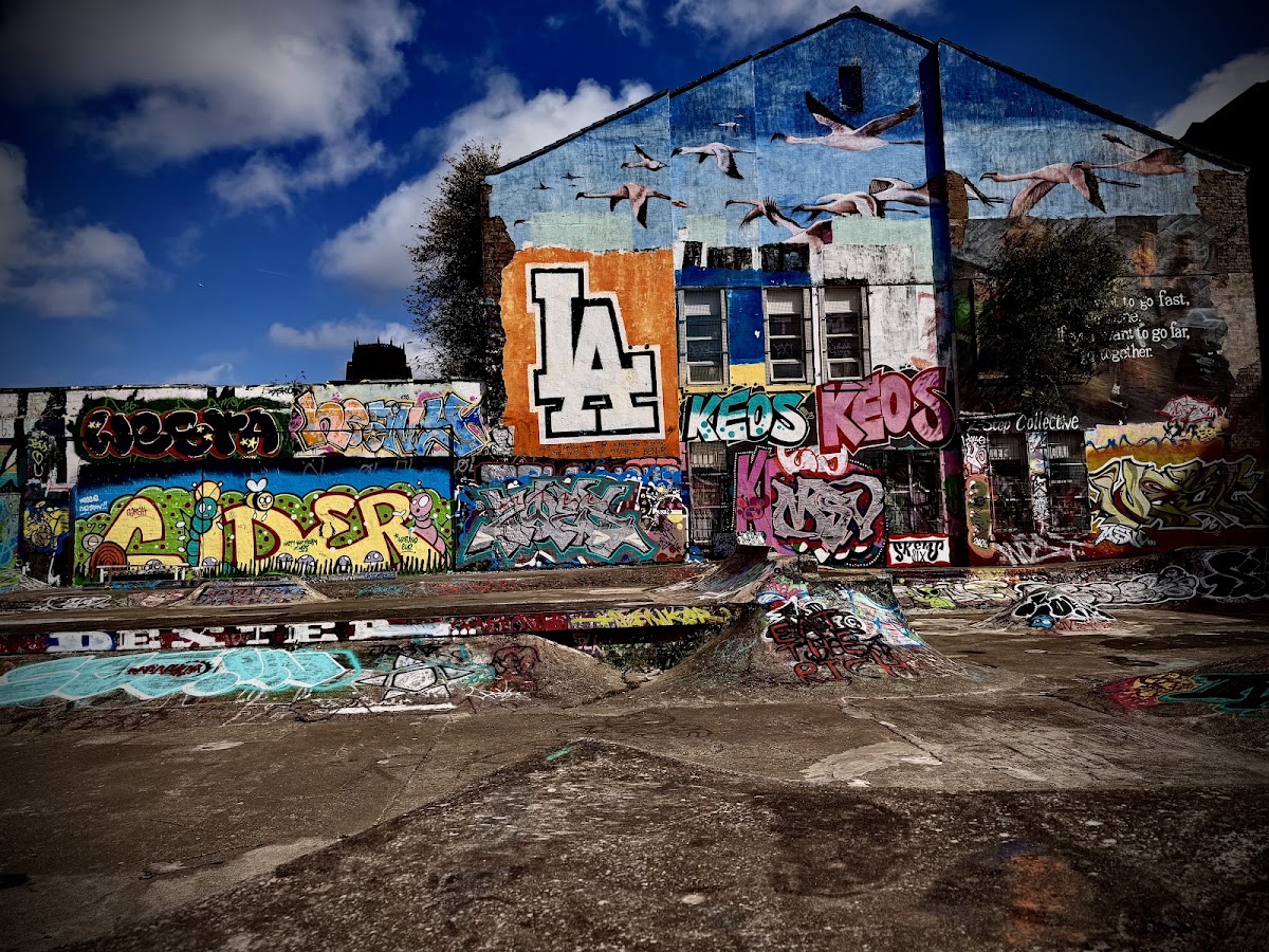 New Bird Skatepark