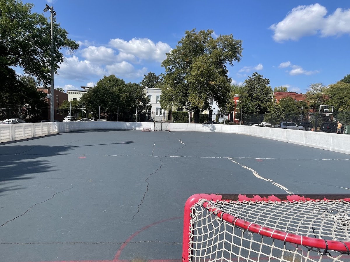 Rush Rink