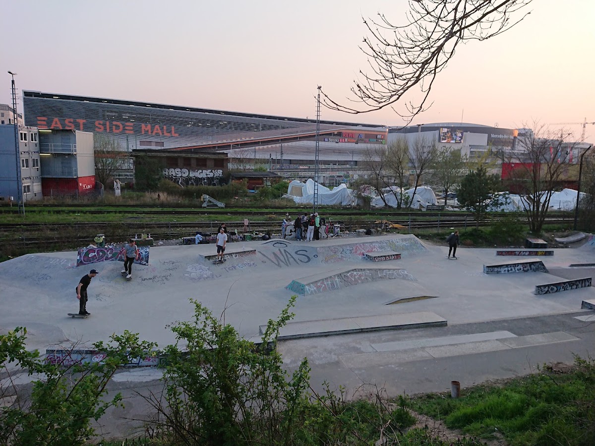 Skate Park "Dog Shit Spot"