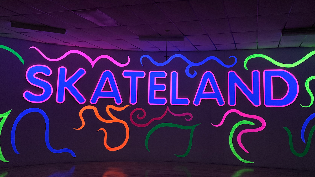 SkatelandROCKS.com - Skateland, Rockford, IL