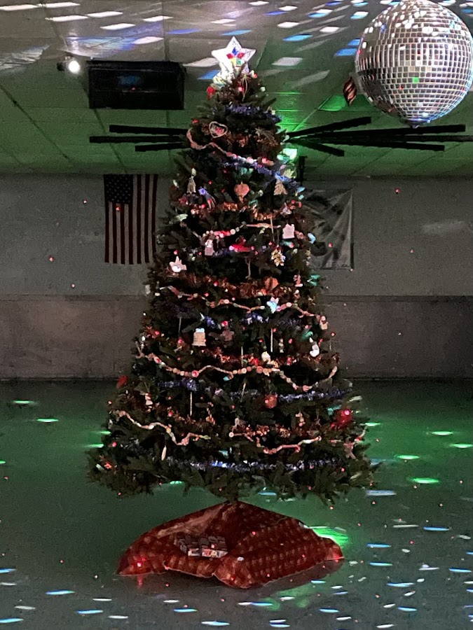Valarena Roller Rink