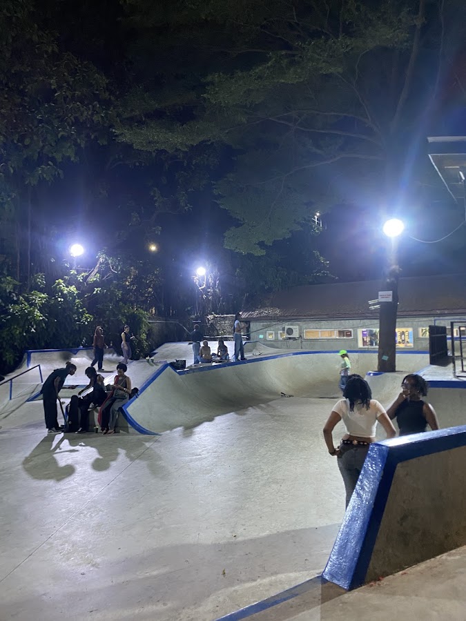 WAF. SKATEPARK